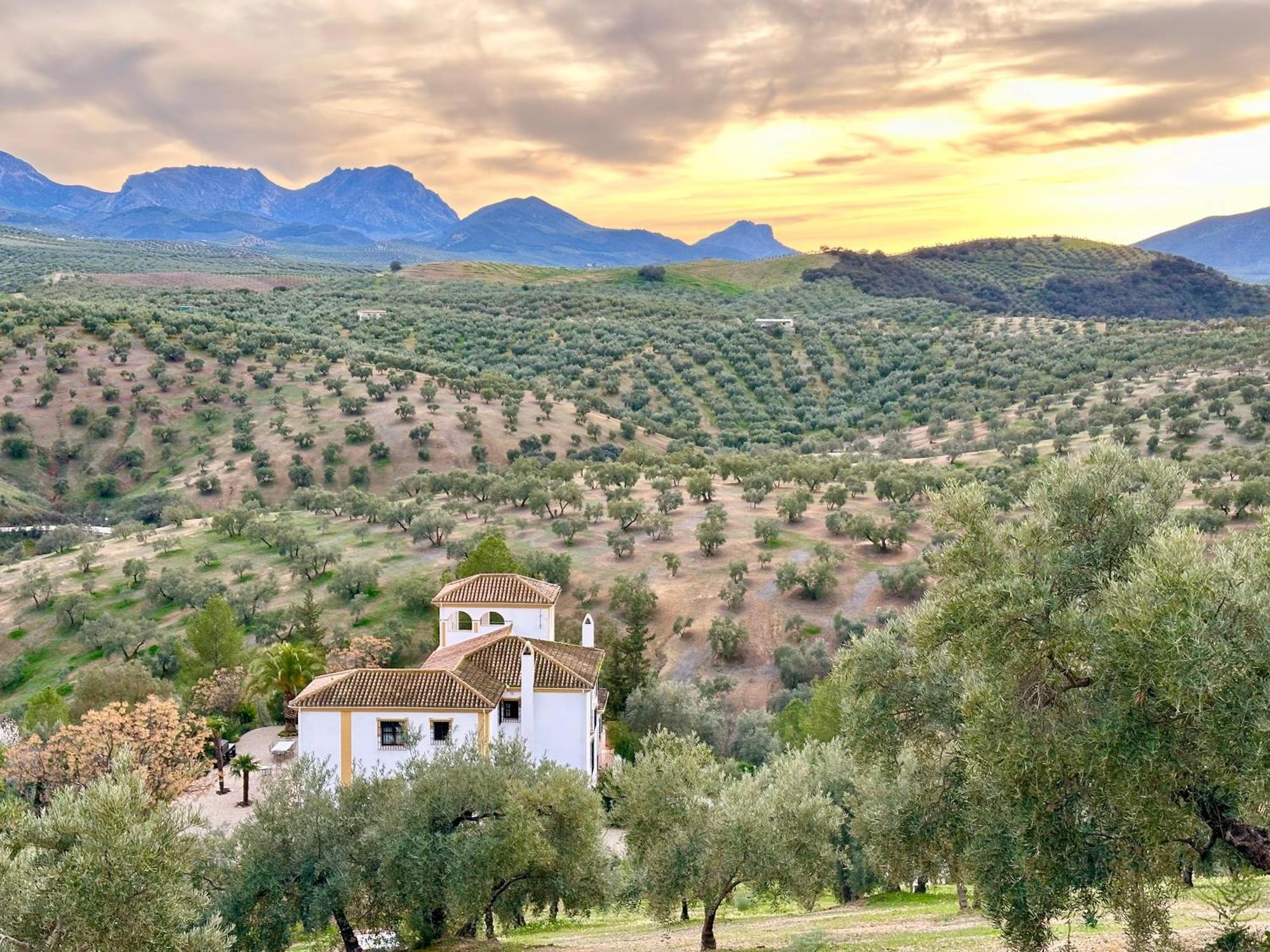 Hotel Hacienda El Tarajal Priego de Córdoba Zewnętrze zdjęcie